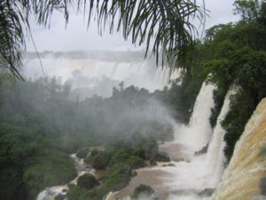 Iguaz elaleleri